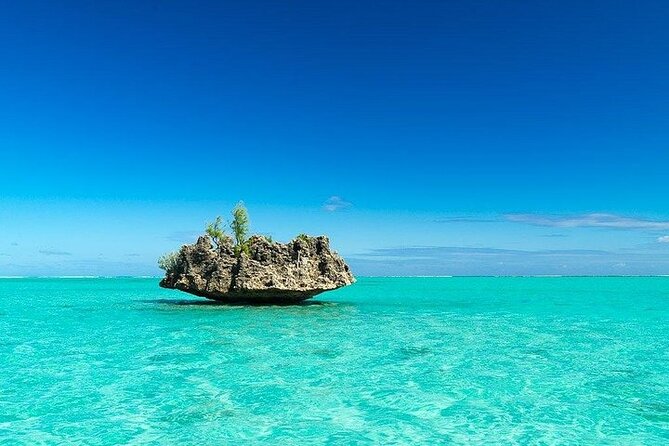Private Speed Boat Tour and Dolphin Encounter at Ile aux Benitier - Who will get the most from this day