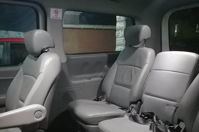 Private Transfer from Airport to Hotel in Mauritius - Communication and language