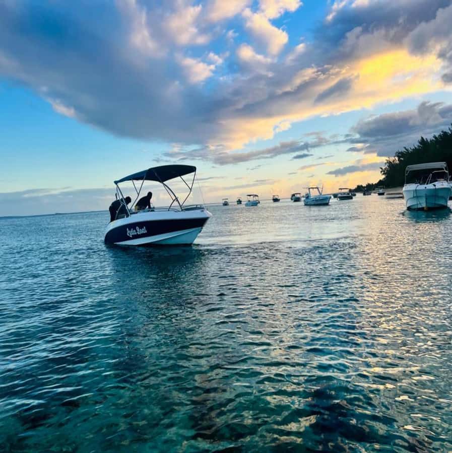 Private :Whales and dolphins watching/Swimming with dolphins - What to bring and what is supplied