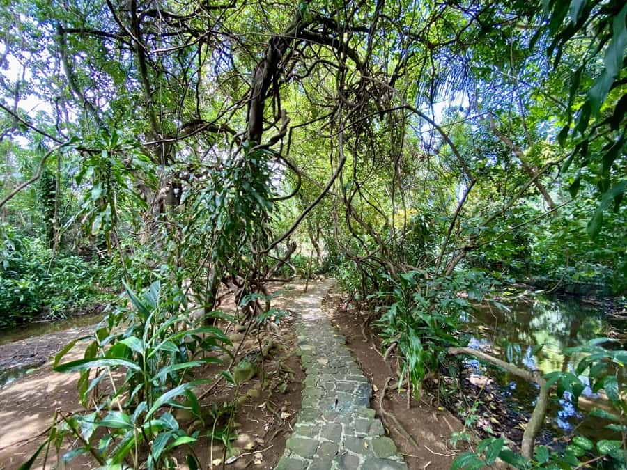 Riambel: South Tour w/ Crocodile Park & Seven Colored Earth - Seven Colored Earth, with an important admission detail
