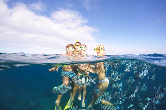 Sailing Catamaran Cruises - Quick facts worth knowing
