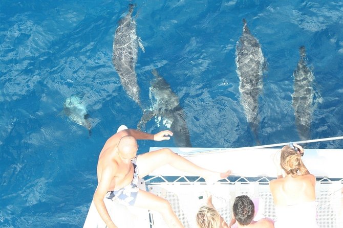Sailing Catamaran Cruises - Setting out from Black River at 9:00