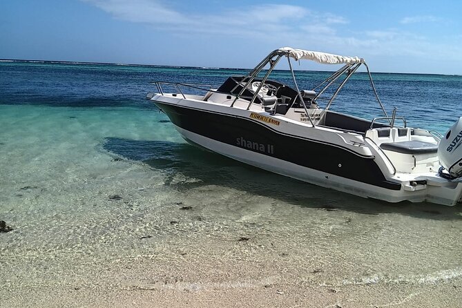 Shared 10 Pax Boat Tour: Dolphin Watching, Snorkelling and BBQ - A Mauritian BBQ lunch by the lagoon