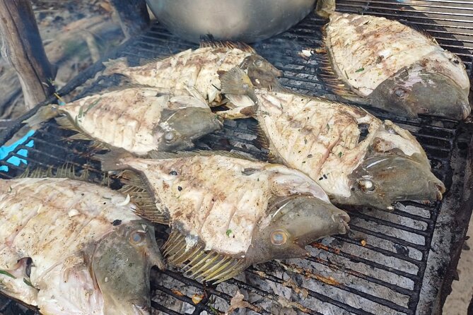 Shared 10 Pax Boat Tour: Dolphin Watching, Snorkelling and BBQ - Safety, weather, and practical planning