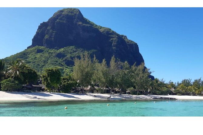 Signature Experience: Dolphins and Flavors of the Sea - Two hours with dolphins and turtles near Le Morne