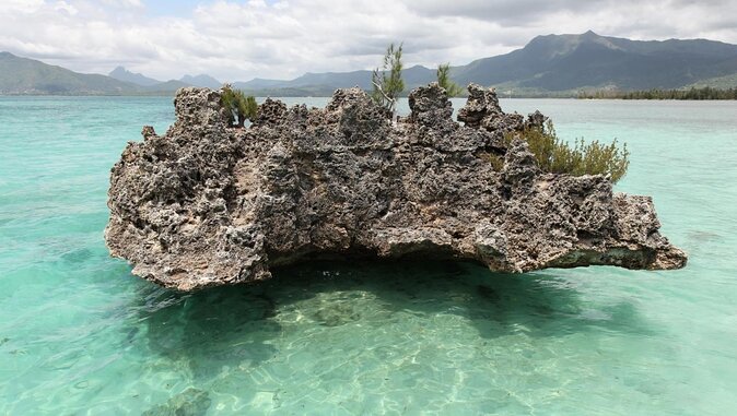 Snorkel with Dolphins, Lunch on Benitiers island, Speedboat - Key points before you book