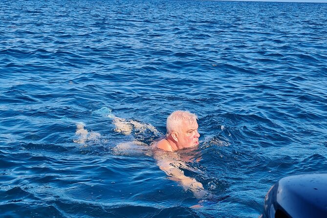 Snorkel with Dolphins, Lunch on Benitiers island, Speedboat - Practical details that can make the day easier