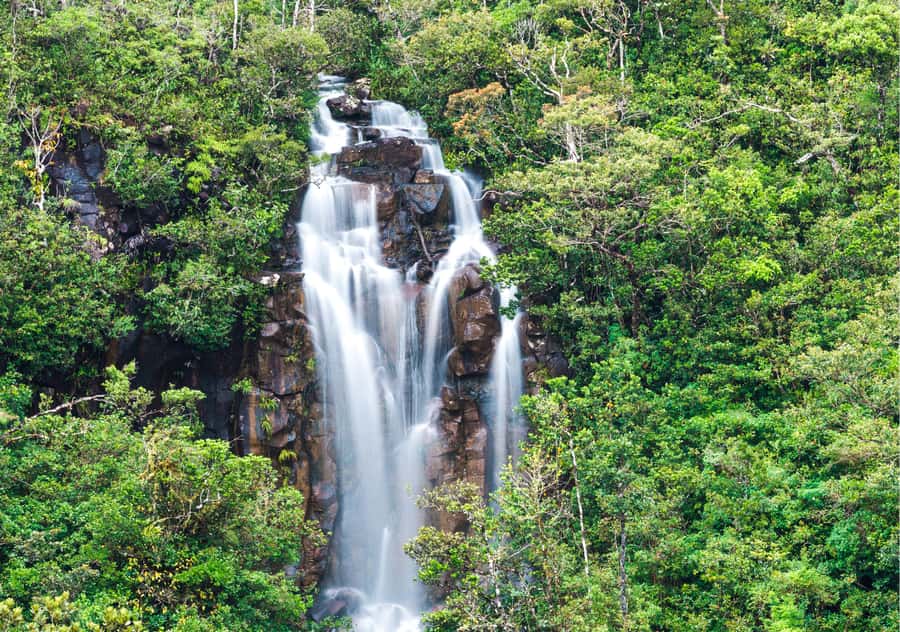 South: Gorges, Waterfalls, Lakes, Trails, 23 Coloured Earth - Mare aux Vacoas, Mauritius’s largest reservoir