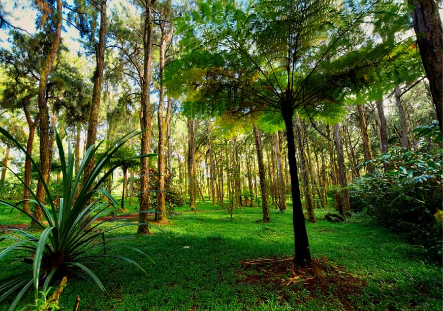 South: Gorges, Waterfalls, Lakes, Trails, 23 Coloured Earth - Valle Adventure Park and the 23 Coloured Earth area