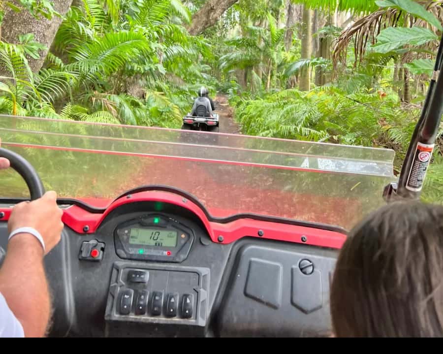 South Mauritius : Buggy Tour - Is $293 good value for a private group?