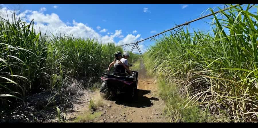 South of Mauritius: Quad Bike Tour - Is $129 per person fair?