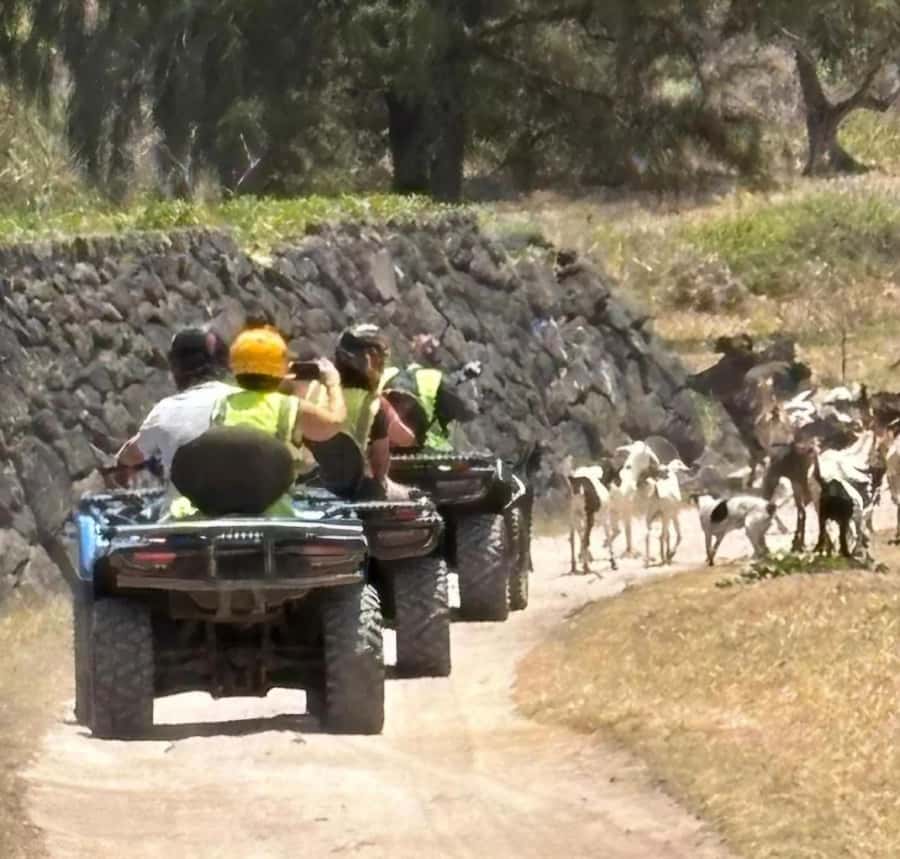 South of Mauritius: Quad Bike Tour - Who should book this quad tour?