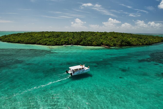 SouthEast Lagoon Discovery on shared basis on a Power Catamaran - Snorkeling above coral and tropical fish