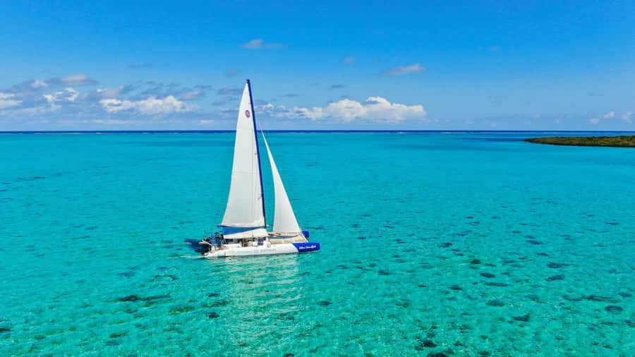 Southeast of Mauritius: Catamaran Cruise w/ BBQ Lunch - What the day feels like on board