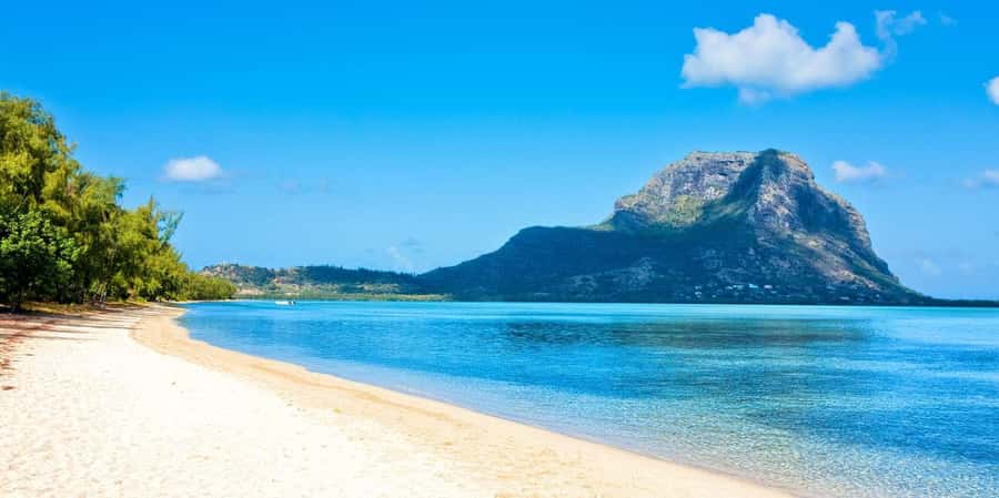 Speedboat to Ile aux Benitier: Dolphin Encounter & Lunch - Snorkeling and the open lagoon