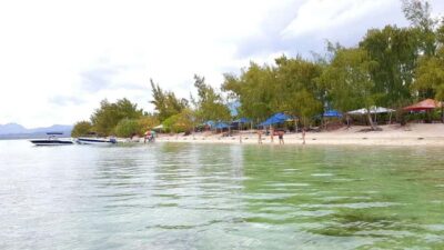 Speedboat to Ile aux Benitier: Dolphin Encounter & Lunch