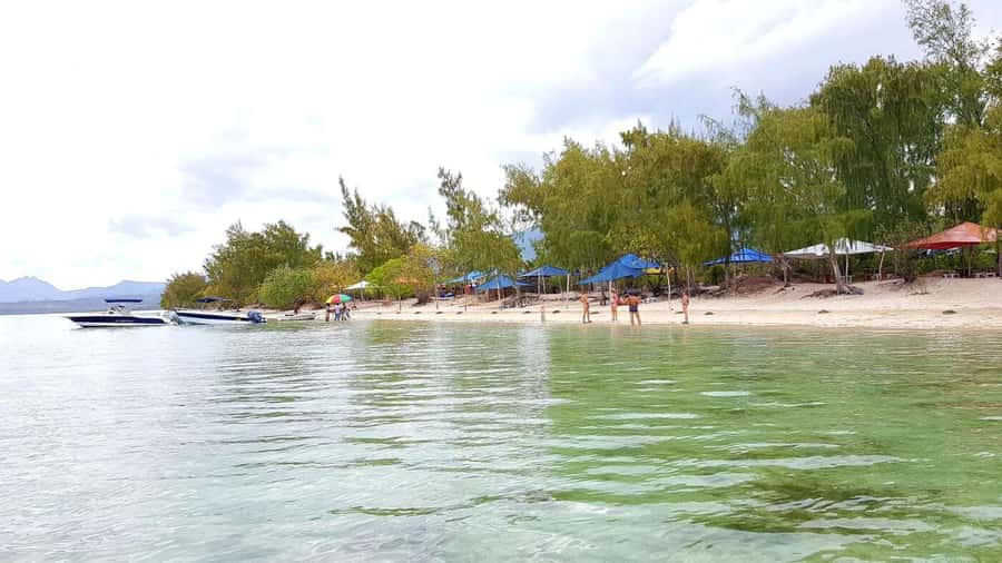Speedboat to Ile aux Benitier: Dolphin Encounter & Lunch - The 2.5-hour dolphin encounter in Tamarin Bay