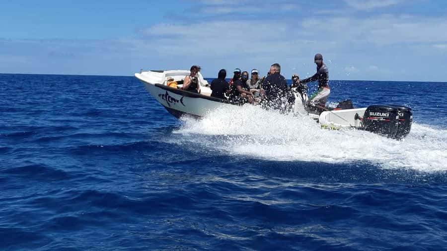 Tamarin Bay: Beginners Scuba Diving Experience - Key points at a glance