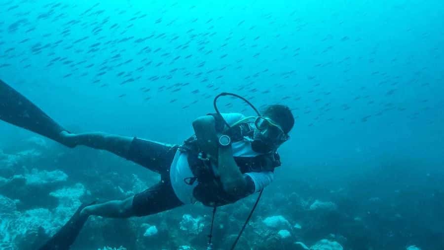 Tamarin Bay: Beginners Scuba Diving Experience - The pool session makes the sea feel manageable