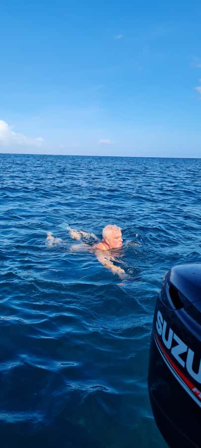 Tamarin: Dolphin Snorkel, CrystalRock, ile o Benitiers Lunch - Lunch on Ile aux Benitiers