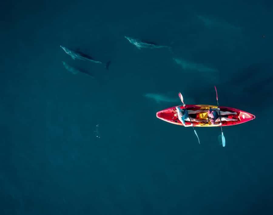Tamarin: Guided Kayak Tour with Dolphins - Why the Early Start Matters in Tamarin Bay