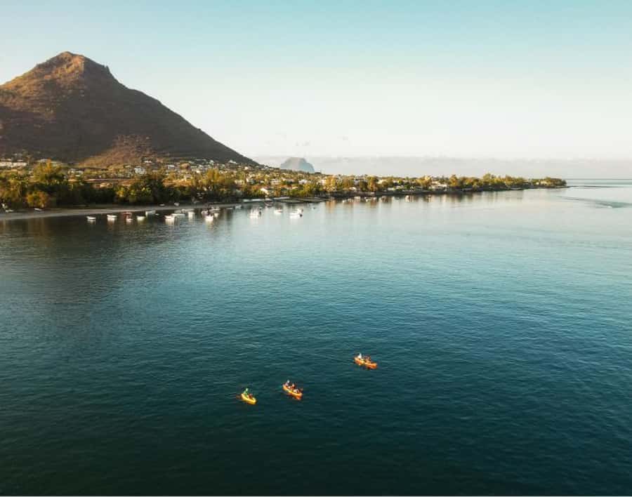 Tamarin: Guided Kayak Tour with Dolphins - What the $64 Price Gets You