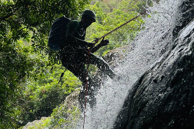 Tamarind Falls Abseiling - Taller Descents, Cold Water, and Big Views