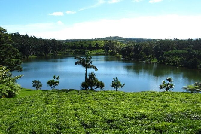 Tea and Culture Route - A six to seven hour look at Mauritius beyond the coast