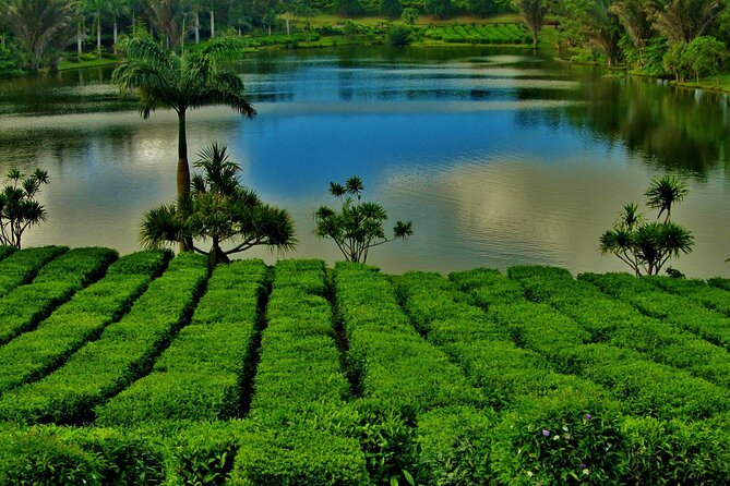 Tea Experience in the Exotic South of Mauritius Private tour. - Trou aux Cerfs, Mauritius’s Dormant Volcano