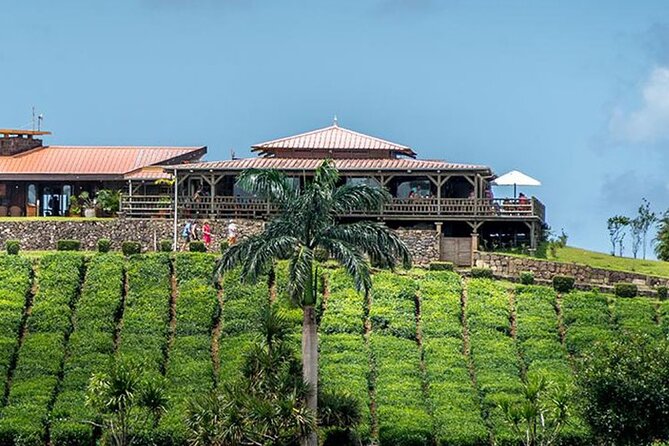 Tea Experience in the Exotic South of Mauritius Private tour. - Takamaka Boutique Winery and Mauritian Lychee Wine