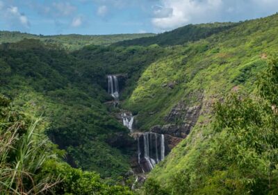 Tea Route: Lake, Forest, Tea Plantation & 3 Course Lunch