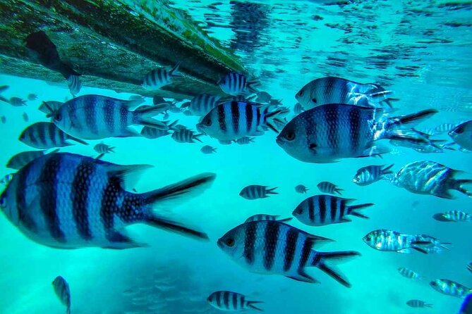 The beautiful East of Mauritius:incl Blue-Bay Marine Park, Crocodile park &Lunch - Why this private Mauritius tour works