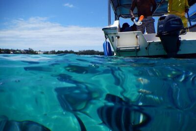 The beautiful East of Mauritius:incl Blue-Bay Marine Park, Crocodile park &Lunch