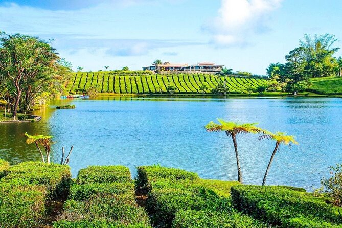 The East Discovery Tour: Bois-Cheri Tea Factory, Blue-Bay Marine Park & Lunch - Mahebourg market: the most local part of the day