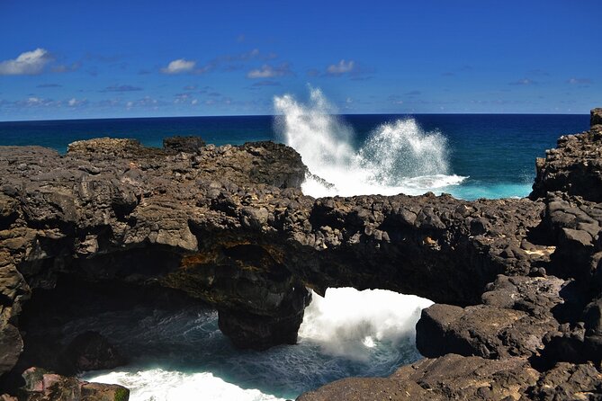 The East of Mauritius: Full-day incl visit to Ile aux Aigrettes & Lunch - Bazar Street and the Mahebourg market