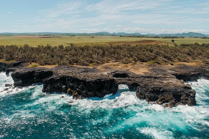 The Hidden Treasures of Mauritius, ALL INCLUSIVE Day Trip, Private SUV Car - Key points to know before booking