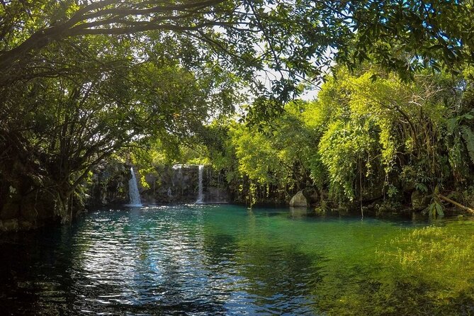 The Hidden Treasures of Mauritius, ALL INCLUSIVE Day Trip, Private SUV Car - Le Souffleur: water blasted through the rock