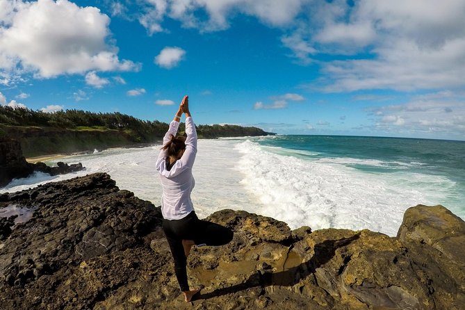 The Hidden Treasures of Mauritius, ALL INCLUSIVE Day Trip, Private SUV Car - Andrea Lodge: lunch with a southern coast view