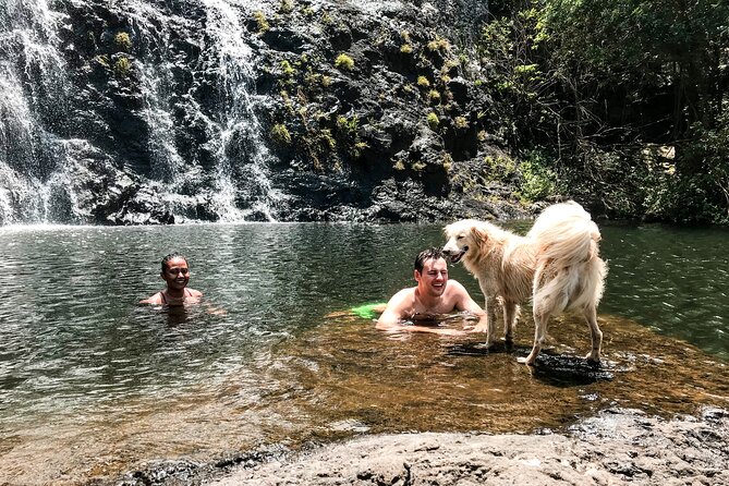 The Tamarind Falls (7 Cascades) Adventure - Walking Through Forest and Birdlife