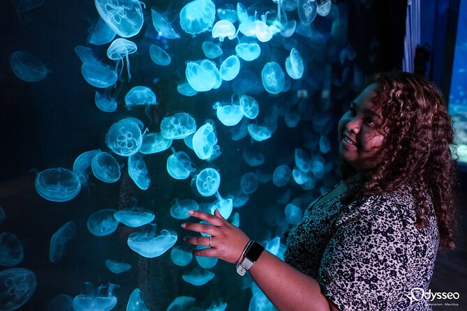 Ticket to the largest Oceanarium of the Mascarene Islands - What you actually see inside the 45 habitats