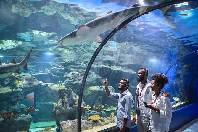 Ticket to the largest Oceanarium of the Mascarene Islands - Planning a one to two hour visit in Port Louis
