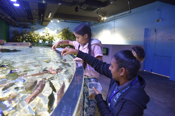 Ticket to the largest Oceanarium of the Mascarene Islands - Getting there and handling the practical details