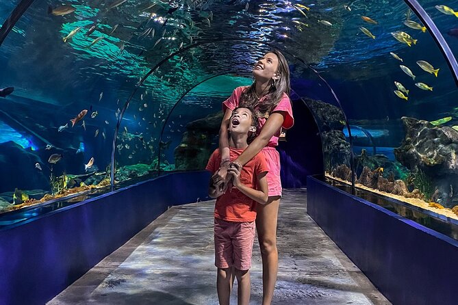 Ticket to the largest Oceanarium of the Mascarene Islands - A good choice for families, with a few limits