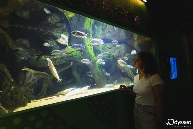 Ticket to the largest Oceanarium of the Mascarene Islands - How to make the most of your admission