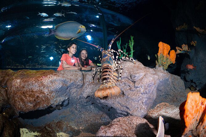 Ticket to the largest Oceanarium of the Mascarene Islands - What the rating tells you about the experience