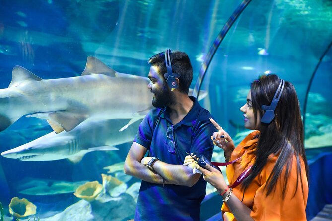 Ticket to the largest Oceanarium of the Mascarene Islands - Why the conservation message adds value
