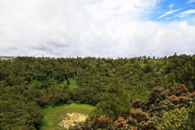 Tropical South West of Mauritius: Full-day All Inclusive tour (Visit to 3 parks)