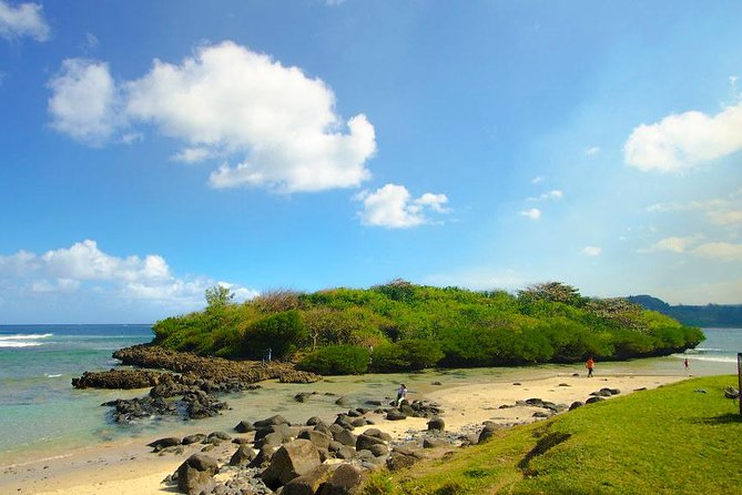 Tropical South West of Mauritius: Full-day All Inclusive tour (Visit to 3 parks) - Alexandra Falls and Black River Gorges