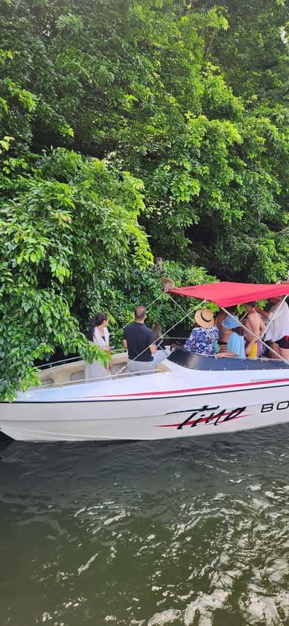 Trou D'Eau Douce: 5 island tour Mauritius with lunch/drinks - Île aux Aigrettes brings conservation into the day