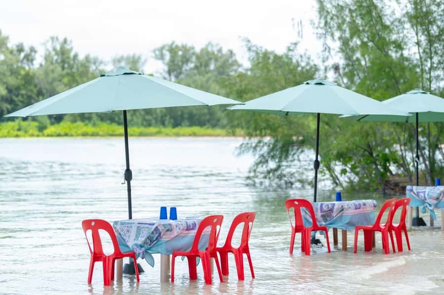 Trou d'Eau Douce: Waterfall and Ile aux Cerfs Day Trip - Key points at a glance
